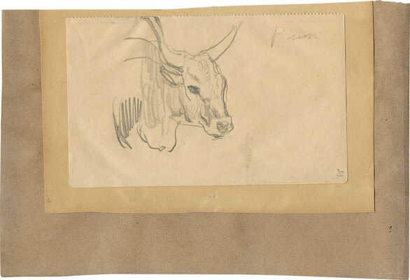 Серов Валентин Александрович. Голова быка 